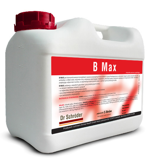 B Max 5l